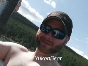 YukonBear
