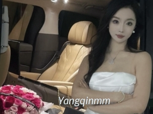 Yangqinmm