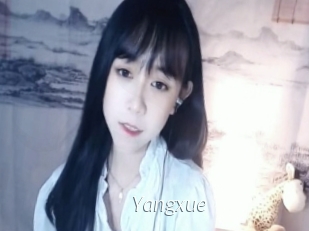 yangxue Porn Star