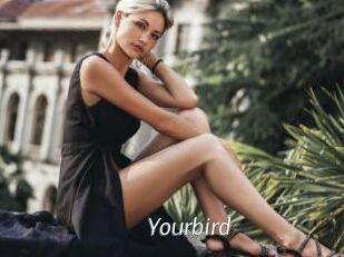 Yourbird