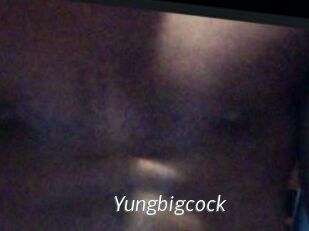 Yungbigcock