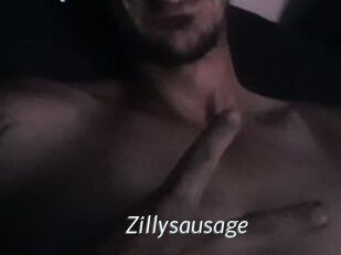 Zillysausage