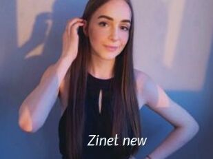 Zinet_new