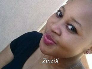 ZinziX