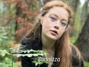 Zadnizza