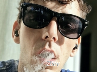 Zboy