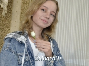 Zeldacatts