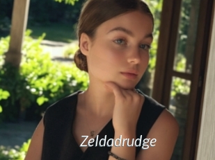 Zeldadrudge