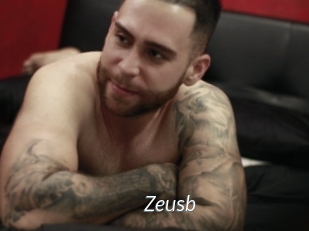 Zeusb