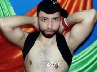 Zevit