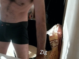 zig Porn Star