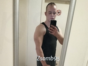 Zsomb95