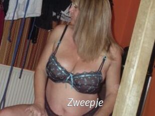 Zweepje